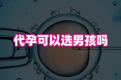 杭州助孕网 1