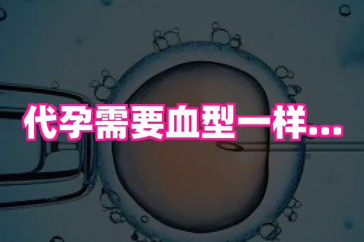 杭州助孕网 1