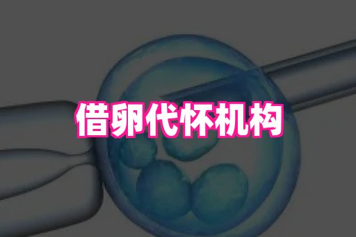 杭州助孕网 3