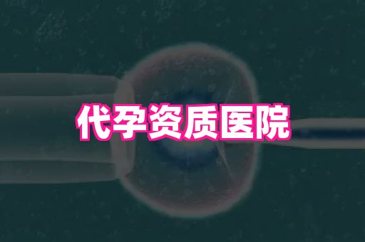 杭州助孕网 4