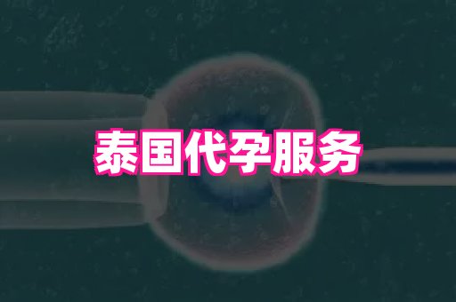 杭州助孕网 4